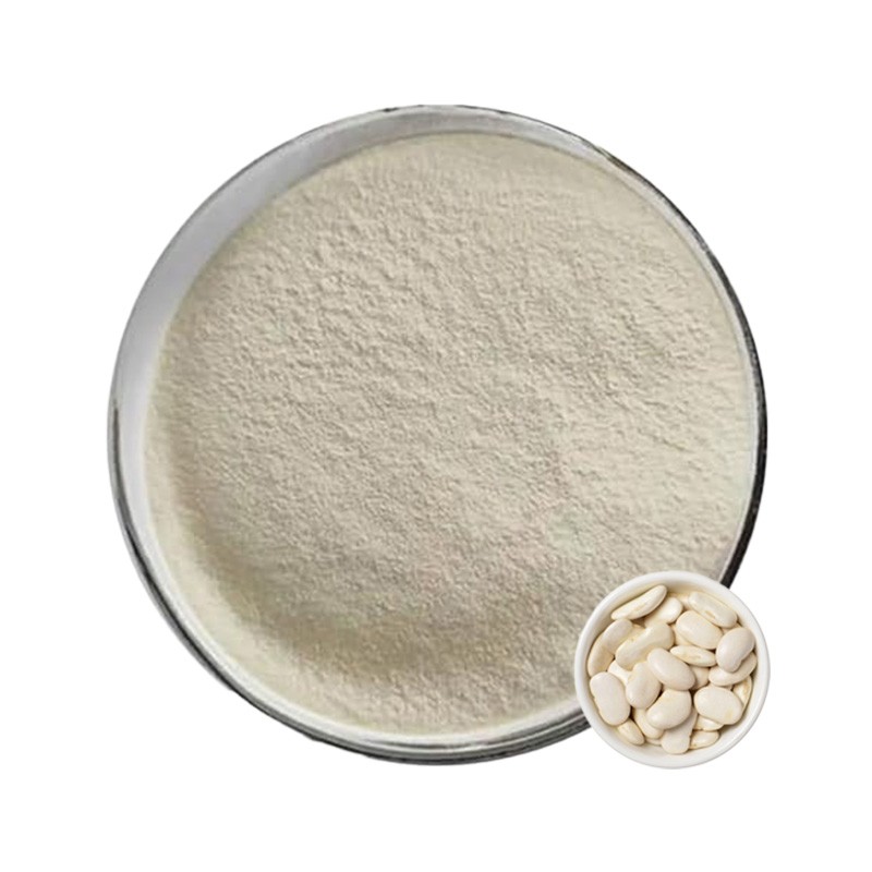 White Kidney Bean Extract Supplier - 10:1 Weight Loss OEM