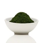 Chlorella Powder Supplier - Vulgaris Food Grade Dietary