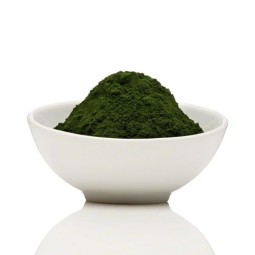 Chlorella Powder Supplier - Vulgaris Food Grade Dietary