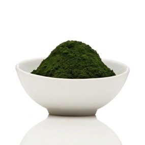 Chlorella Powder Supplier - Vulgaris Food Grade Dietary