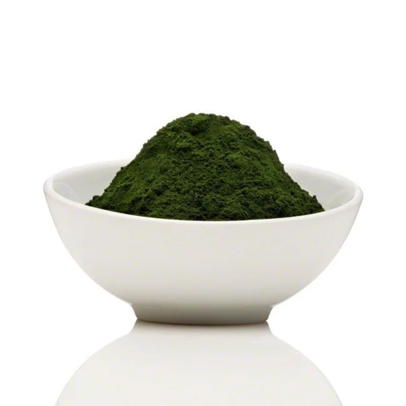 Chlorella Powder Supplier - Vulgaris Food Grade Dietary