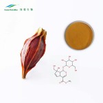 Gardenia Yellow Powder Manufacturer - E100 E400 Natural Food Color