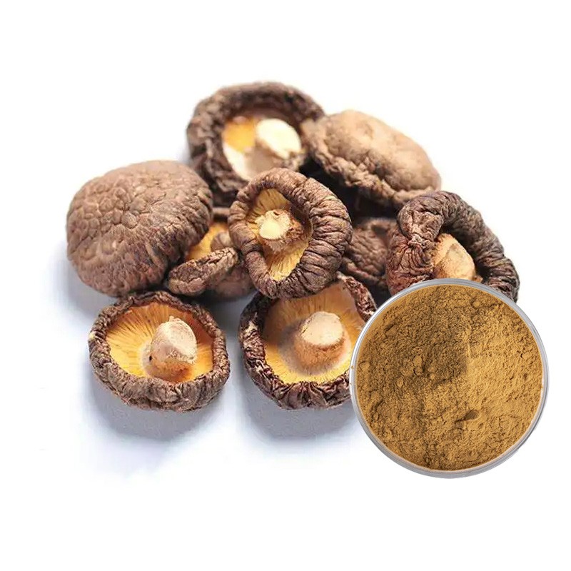 Shiitake Powder Manufacturer - 30% Polysaccharides Quality Natural
