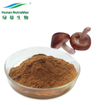 Shiitake Powder Manufacturer - 30% Polysaccharides Quality Natural