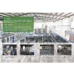 Panax Ginseng Extract Powder Factory - 60% Ginsenosides HPLC