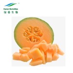 Cantaloupe Powder Supplier - Melon Extract Food Beverage
