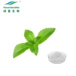 Stevia Extract Powder Factory - 100% Pure Rebaudioside M 95%