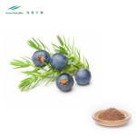 Juniper Berry Powder Factory - Gluten Free Pure Natural Health