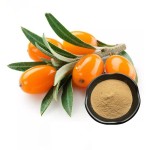 Sea Buckthorn Extract Supplier - Vegan Organic Plant Extract Bulk