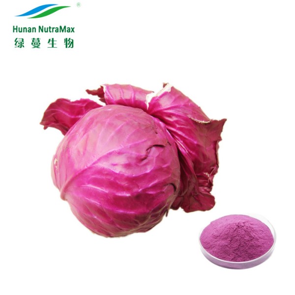 Purple Cabbage Extract Supplier - Natural Pigment Powder 4:1-10:1