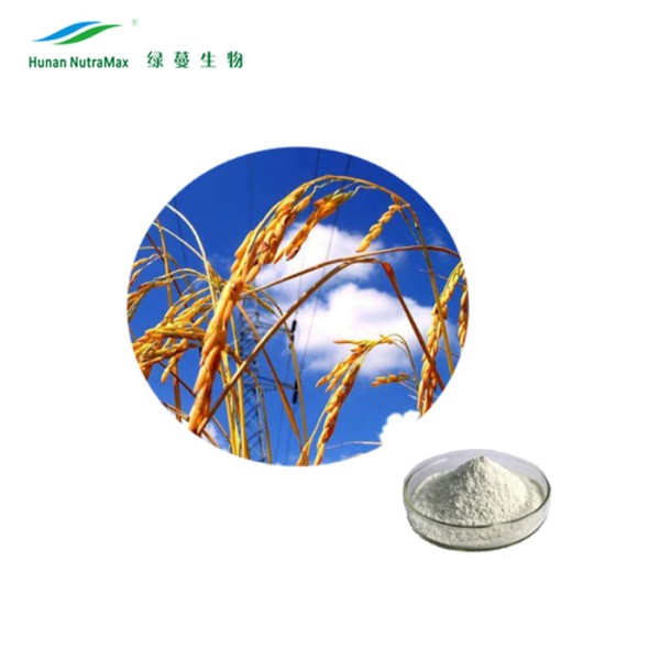 Ceramide Powder Supplier - 10%-20% Rice Bran Extract Dietary