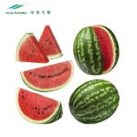 Watermelon Powder Manufacturer - Water Soluble Free Sample Food