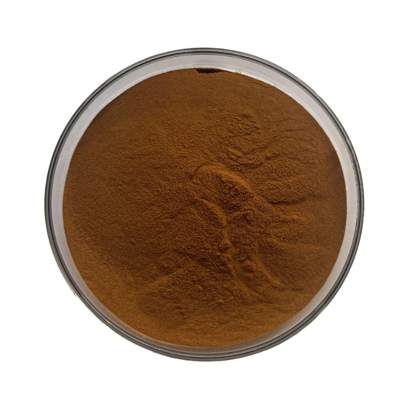 Agaricus Blazei Powder Supplier - 4:1 Mushroom Extract Dietary