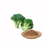 Broccoli Sprout Extract Factory - Sulforaphane Powder Natural