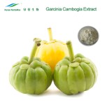 Garcinia Cambogia Extract Manufacturer - 50% HCA Weight Loss