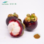 Mangosteen Extract Supplier - 10%-90% Alpha-mangostin Peel Powder