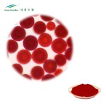 Astaxanthin Powder Manufacturer - 100% Pure Bulk Antioxidants