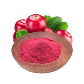 Cranberry Extract Powder Supplier - Food Grade Water Soluble 25% PAC