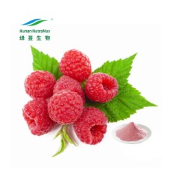 Red Raspberry Extract Manufacturer - 4:1-20:1 Seed P.E. China