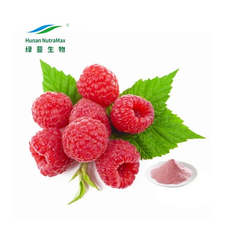 Red Raspberry Extract Manufacturer - 4:1-20:1 Seed P.E. China