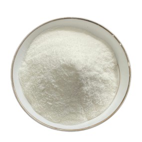 Inulin Fiber Powder Manufacturer - 90% Chicory Extract Bulk