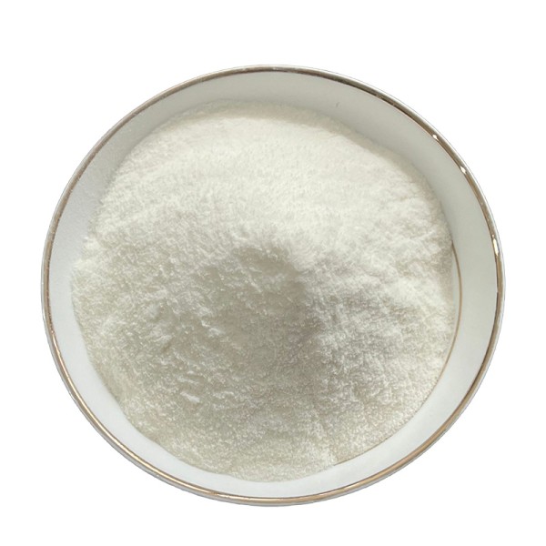 Inulin Fiber Powder Manufacturer - 90% Chicory Extract Bulk