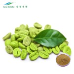 Green Coffee Bean Extract Factory - Water Soluble Chlorogenic Acid