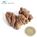 Notoginsenosides Powder Factory - 30%-40% Pseudo-ginseng Extract