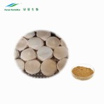 Tongkat Ali Powder Manufacturer - 200:1 Extract Powder Bulk