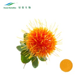 Safflower Yellow Supplier - Carthamus Extract E60 Natural