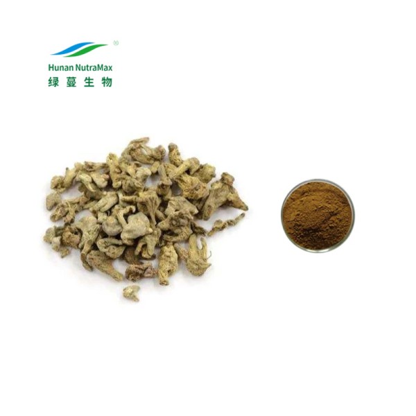 Tribulus Powder Supplier - 90% Saponins 40% Protodioscin Bulk