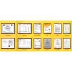 Mango Powder Factory - Spray Drying Flavoring Powder Ready