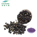 Black Wolfberry Extract Factory - 10% Anthocyanidins Goji Berry