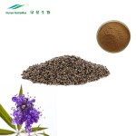 Chasteberry Extract Factory - 10:1 Women Supplements Bulk