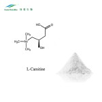 L-Carnitine Powder Supplier - HCl N-Acetyl Amino Acid