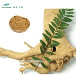 Tongkat Ali Powder Manufacturer - 100:1-200:1 Root Extract Men