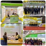 Griffonia Seed Extract Supplier - 100% Natural 5-HTP 98%