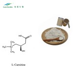 L-Carnitine Powder Supplier - HCl N-Acetyl Amino Acid