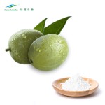 Monk Fruit Extract Powder Factory - Mogrosides 80% China Manufacturer