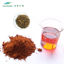 Instant Black Tea Powder Manufacturer - 10%-20% Polyphenols Extract