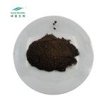 Black Maca Root Extract Factory - 10:1 Powder Men Supplement