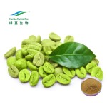 Green Coffee Bean Extract Supplier - 10:1 Weight Loss Powder