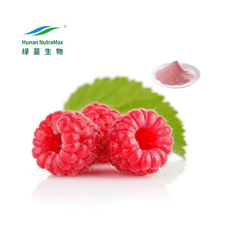 Raspberry Ketone Powder Manufacturer - 4%-99% Raspberry Extract