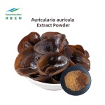 Black Fungus Extract Powder Factory - 50% Polysaccharides Healthcare