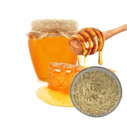 Honey Powder Factory - Lyophilized Food Beverage Certified