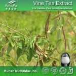 Vine Tea Extract Factory - 98% Myricetin Dihydromyricetin