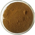 Mulberry Leaf Extract Manufacturer - 1-DNJ 10% Organic Healthcare