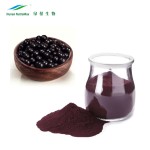 Acai Berry Powder Manufacturer - 4:1 Water Soluble 2% Powder
