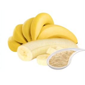 Banana Powder Factory - Natural Fruit Powder Food Beverage