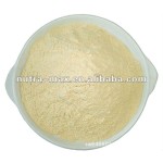 White Kidney Bean Extract Manufacturer - 2% Phaseolin Inhibitor Powder